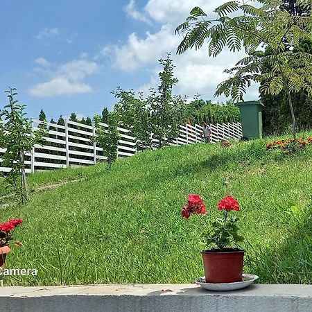 Fruskogorska Idila Apartmani Vrdnik Zewnętrze zdjęcie