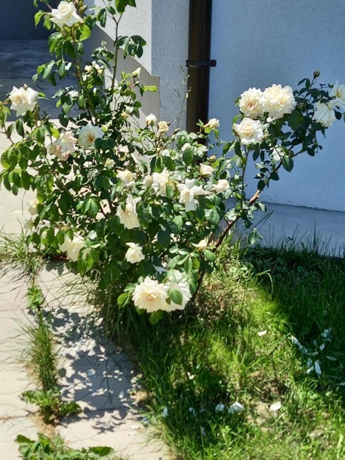 Fruskogorska Idila Apartmani Vrdnik Zewnętrze zdjęcie