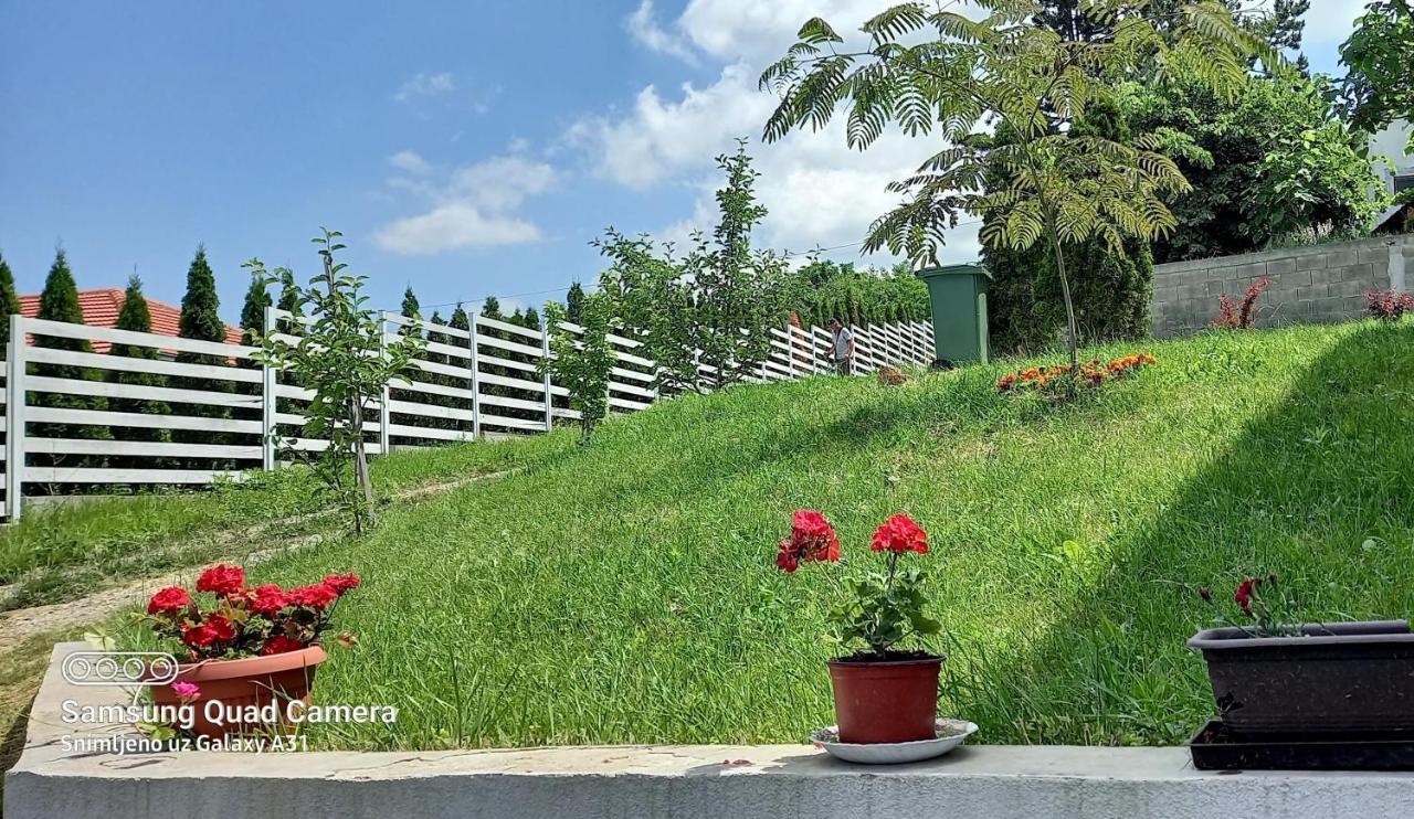 Fruskogorska Idila Apartmani Vrdnik Zewnętrze zdjęcie